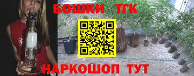 дурь Шелехов