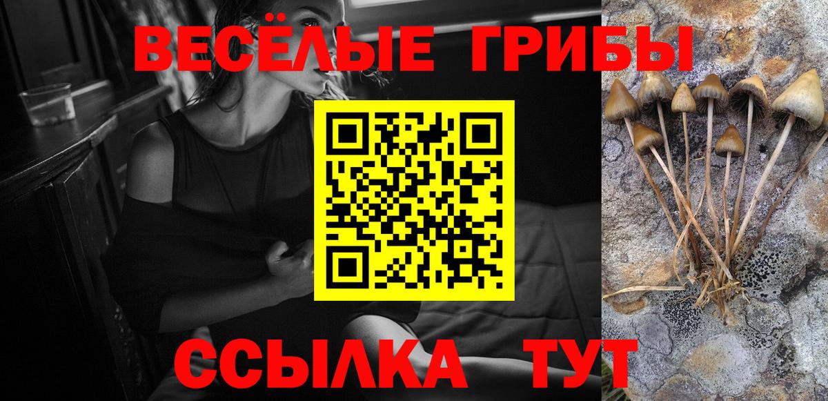 Бахчисарай  Галлюциногенные грибы Cubensis  Псилоцибиновые грибы Psilocybine cubensis  Вход с VPN 